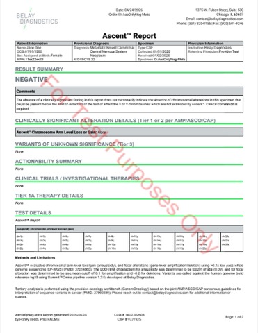 Sample Test Reports - Belay Diagnostics