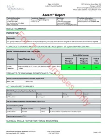Sample Test Reports - Belay Diagnostics