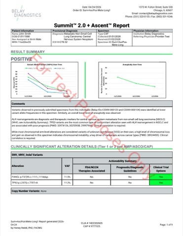 Sample Test Reports - Belay Diagnostics