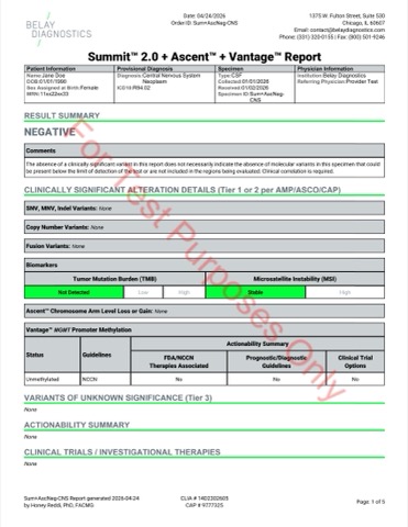 Sample Test Reports - Belay Diagnostics