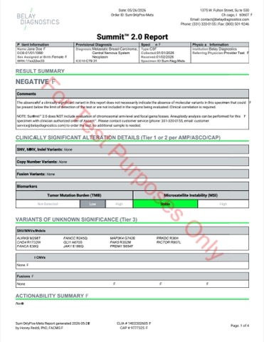 Sample Test Reports - Belay Diagnostics