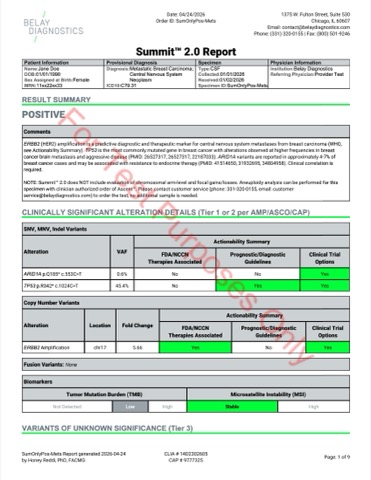 Sample Test Reports - Belay Diagnostics