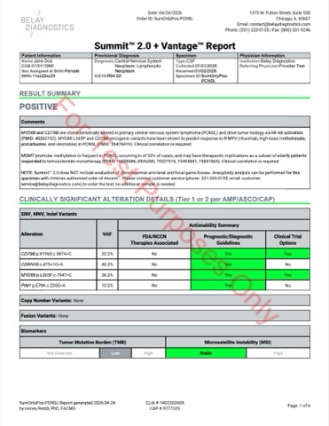 Sample Test Reports - Belay Diagnostics