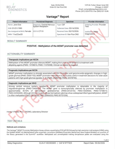Sample Test Reports - Belay Diagnostics