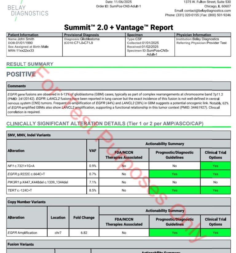 Sample Test Reports - Belay Diagnostics