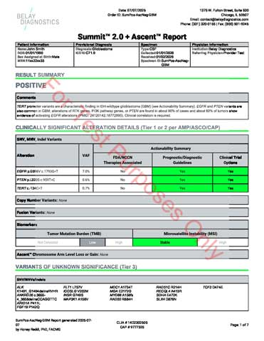 Sample Test Reports - Belay Diagnostics