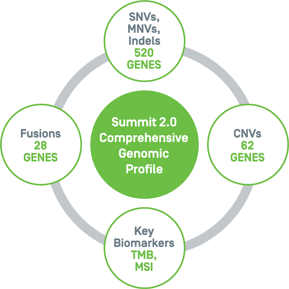 A circular image showing what Summit™ 2.0 Comprehensive Genetic Profile investigates, including 520 Genes for SNVs, MNVs, and Indels, 62 Genes for CNVs, Key Biomarkers TMB and MSI, and 28 Genes for Fusions.
