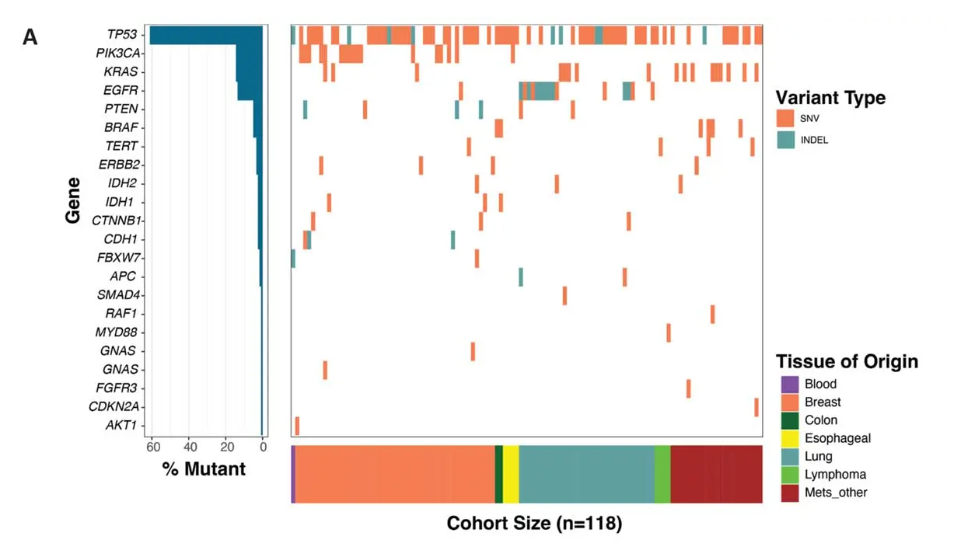 Bar chart showing gene-level variant detection frequency across 118 CSF specimens from patients with suspected metastatic CNS disease, including TP53, PIK3CA, KRAS, and EGFR, with tissue of origin breakdown including breast, lung, lymphoma, and colon primaries, from Belay Diagnostics VAF leptomeningeal disease study published in Diagnostics 2026.
