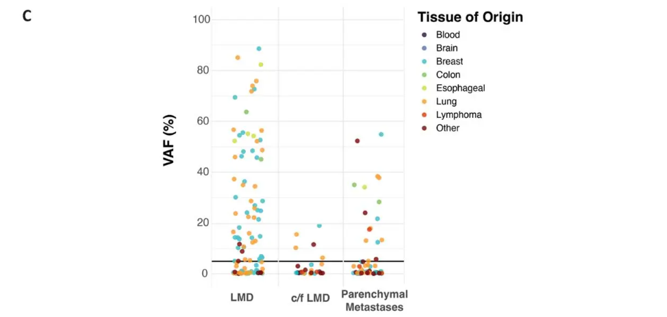 Dot plot showing distribution of variant allele frequency (VAF) across three clinical groups: confirmed leptomeningeal disease (LMD), concern for LMD (c/f LMD), and parenchymal metastases, across breast, lung, brain, colon, esophageal, lymphoma, and other primary malignancies. The horizontal black line indicates the 5% VAF threshold associated with LMD diagnosis, from Belay Diagnostics VAF study published in Diagnostics 2026.